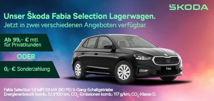 Ein Skoda Fabia Selection parkend in der Dreiviertelansicht von vorne vor einem lila-pinken Hintergrund