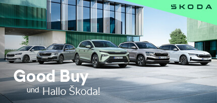 Verschiedene Skoda Modelle nebeneinander parkend in der Dreiviertelansicht von vorne mit einem Geb&auml;ude im Hintergrund